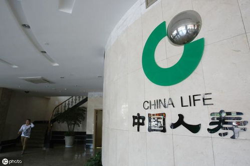 中國人壽保險.集團(tuán)上線轉(zhuǎn)拍網(wǎng)